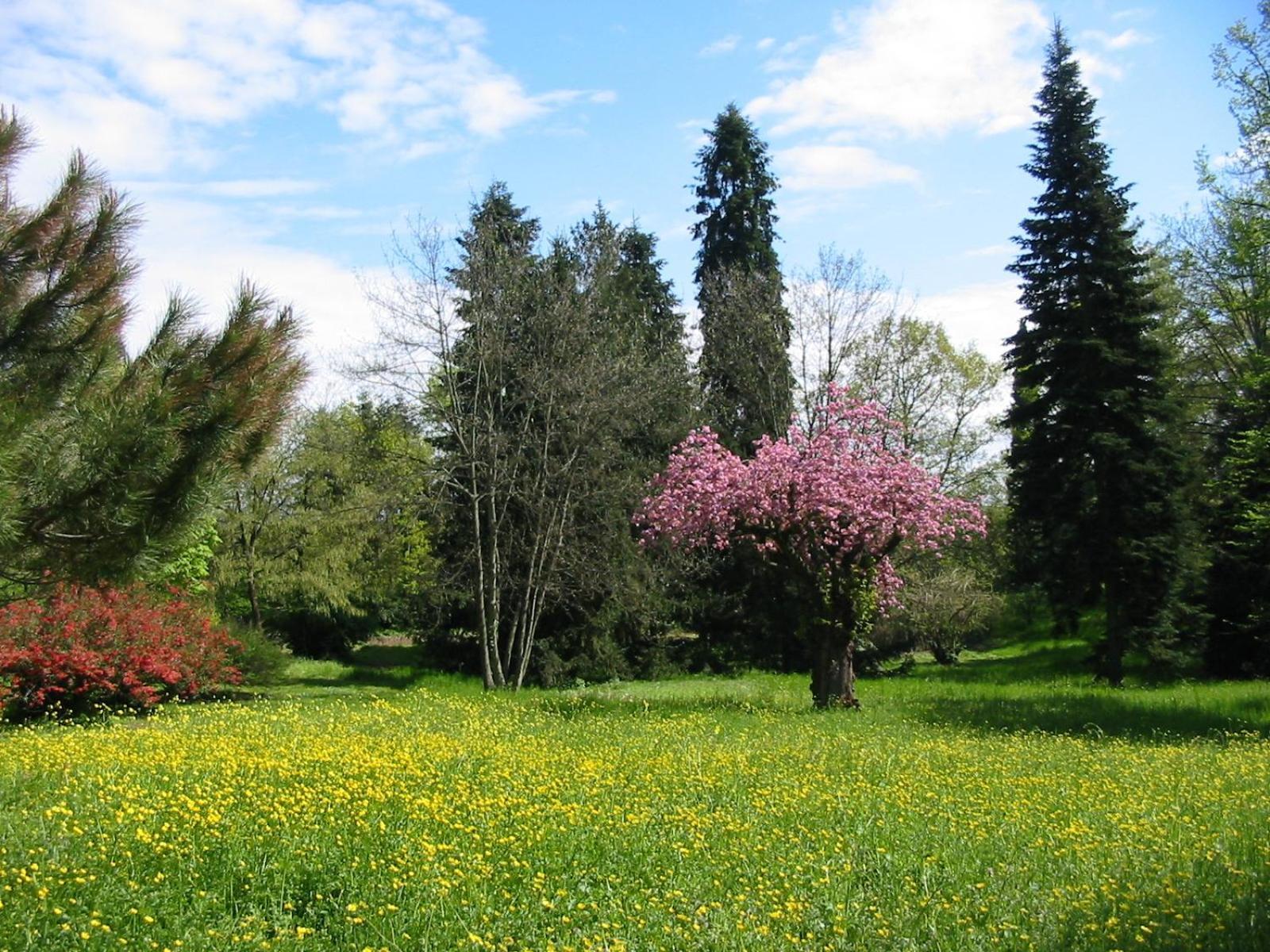 Agriturismo Villa Gropella Valenza Exteriér fotografie